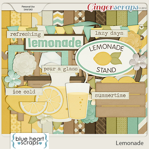 bhs_lemonade_kit